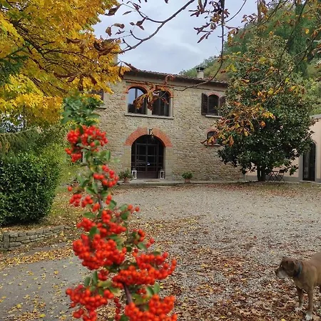 La Ginestra * Capolona