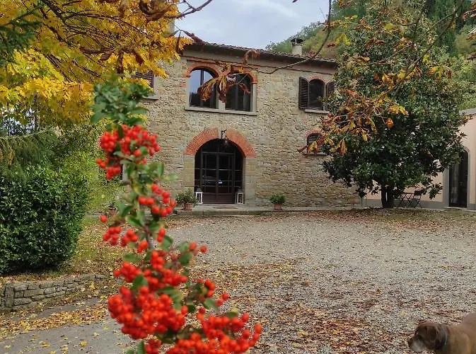 La Ginestra - Charming Country * Capolona