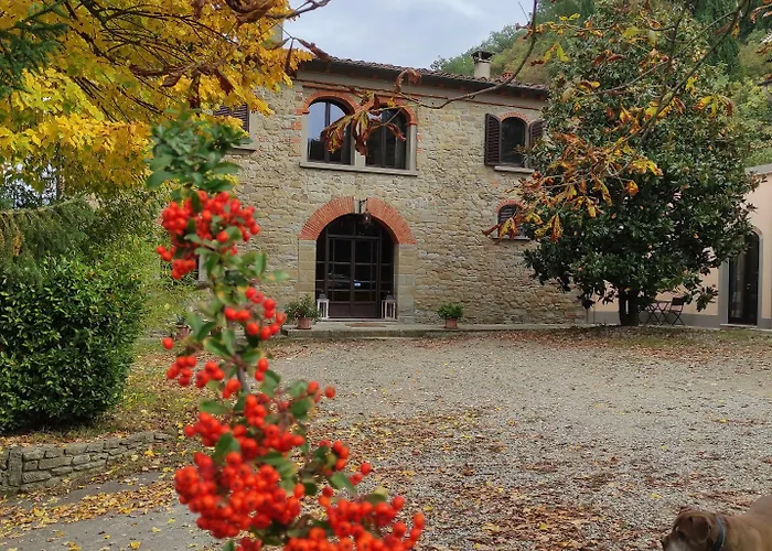 La Ginestra - Charming Country Capolona